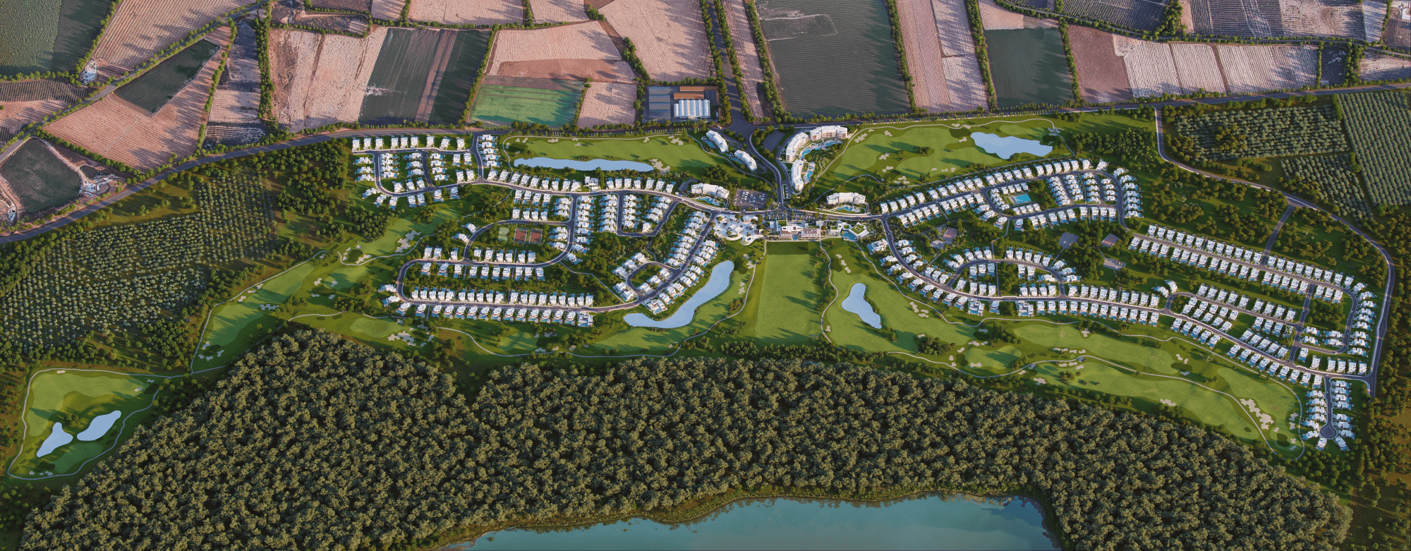 Main Background Image